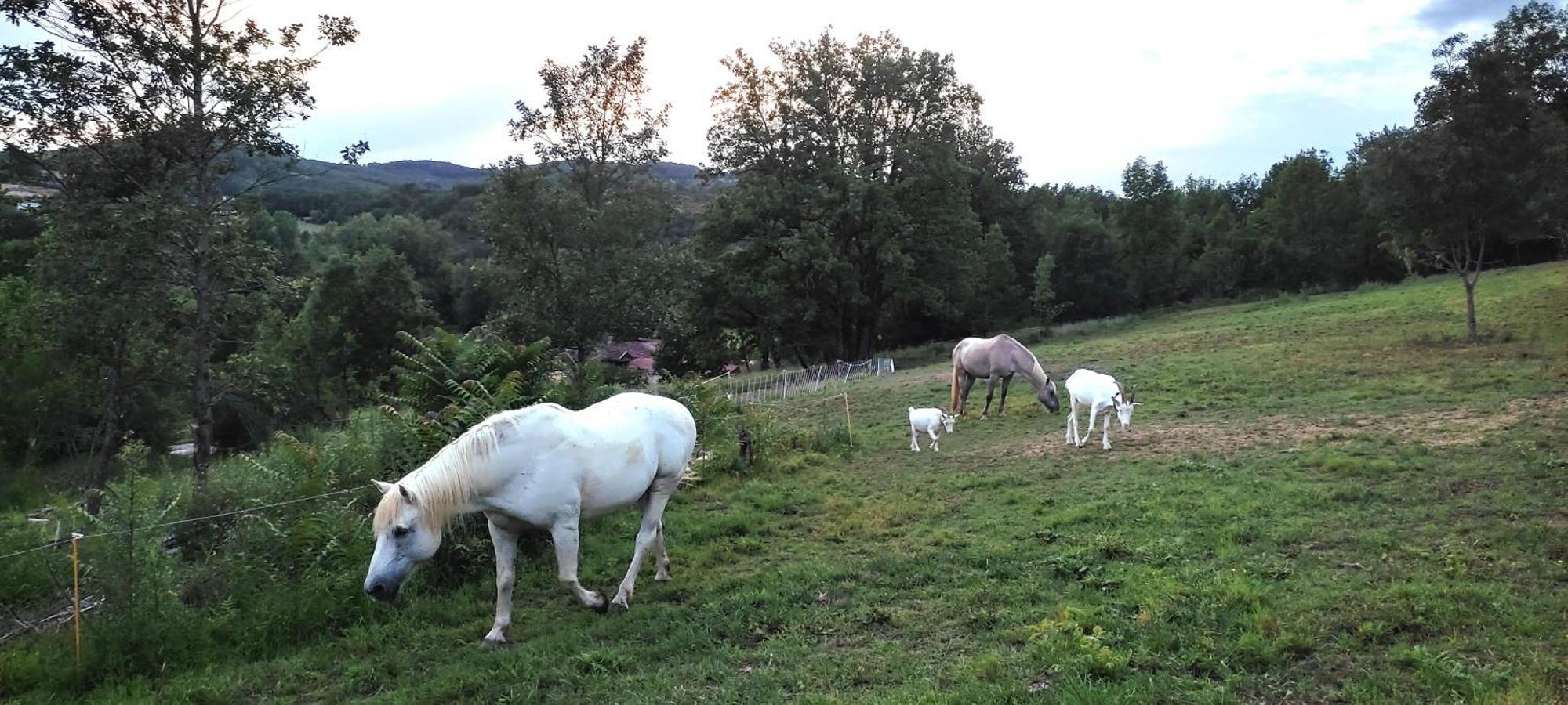 Gite O Nature Varen Kültér fotó